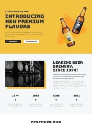 111.Cerveza Artesanal