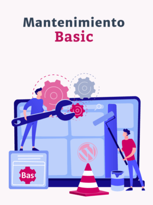 Mantenimiento Basic (anual)